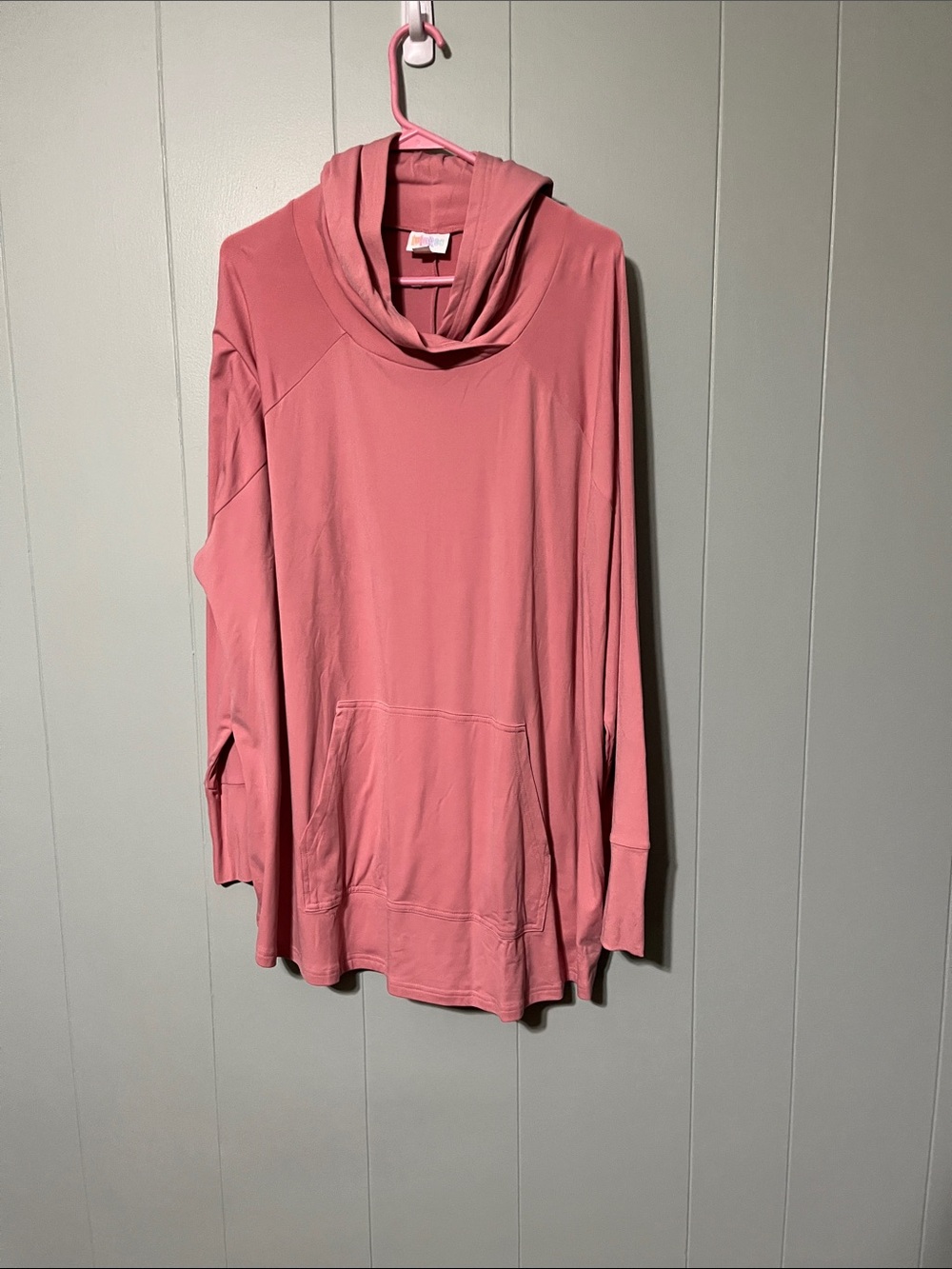 LuLaRoe Pink Amber Hoodie